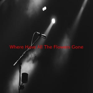Where Have All The Flowers Gone (Instrumental version originally performed by The Brothers Four)