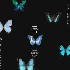 독:Fear（翻自 SEVENTEEN）