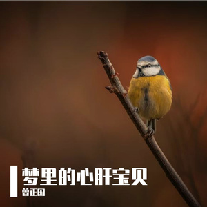 梦里的心肝宝贝