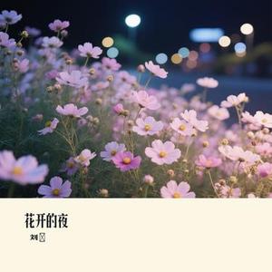 花开的夜
