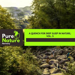 Migratory Gray Catbird