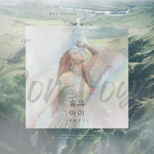 森林之子（中文填词版）