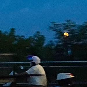 无人知晓（Cover:田馥甄）