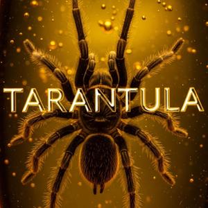 Tarantula