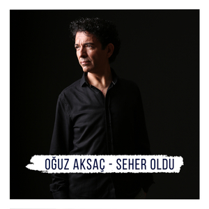 Bahçanızda Bir Taş Attım Vişneye