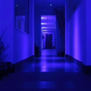 i kissed your mom on the battle bus