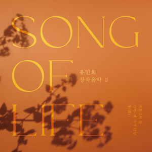 청(淸)