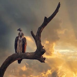 Gotta think (feat. Losboogie & Kushguwap)