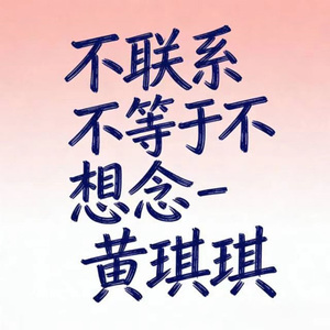 不联系不等于不想念 (DJ版)