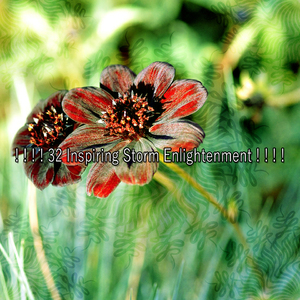 對抗焦慮的洪水