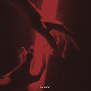 Im Wind