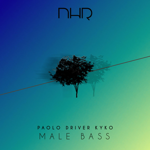 Male Bass (Male Bass Break Mix)