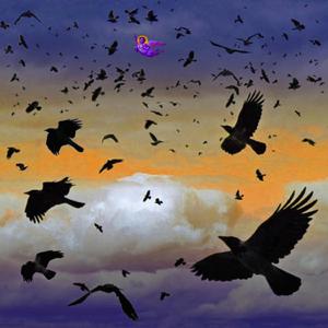 Not You and I - Acoustic Demo [Bonus Track]