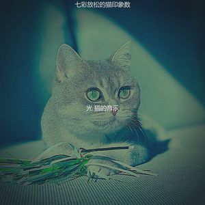 微妙的放松的猫心情