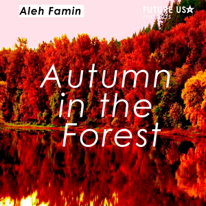Autumn in the Forest