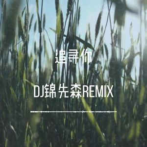 追寻你（DJ锦先森 Remix）