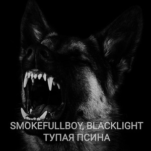 Тупая псина