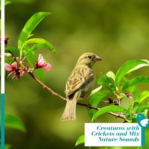 Excessive Rain Aftermath