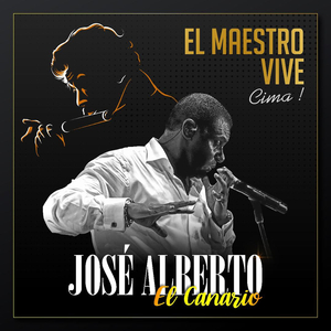 Viralo al Revés