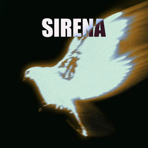Sirena