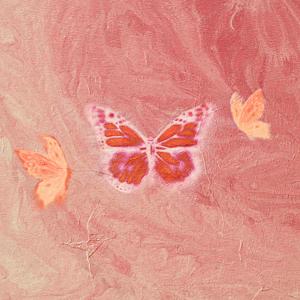 can u be my Felicity