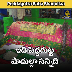 Idi peddagutta shadulla sannidhi (Peddagutta Baba Shadullaa)