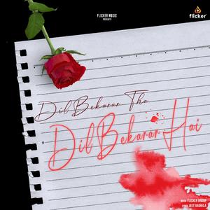 Dil Bekarar Tha Dil Bekarar Hai