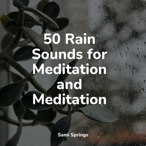 Forest Sounds (Birds)