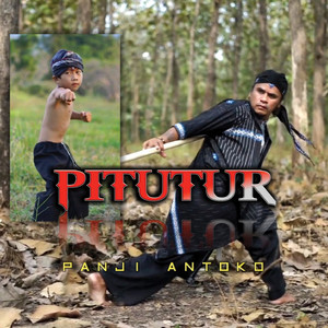 Pitutur