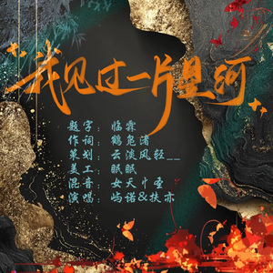 我见过一片星河