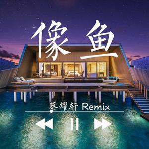 像鱼（Remix）