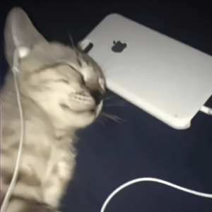 ᶜ