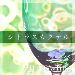 デュアルフリップ