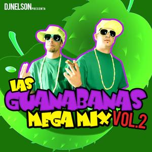 Las Guanabanas Mega Mix, Vol.2