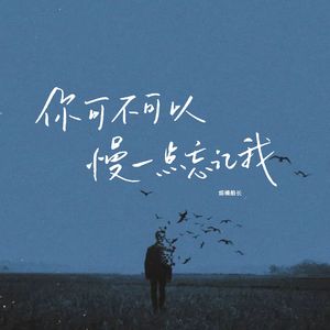 你可不可以慢一点忘记我（烟嗓版）