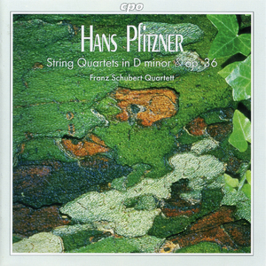 String Quartet No. 2 in C-Sharp Minor, Op. 36: I. Ziemlich ruhig