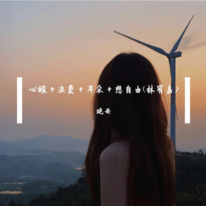 心酸＋浪费＋耳朵＋想自由林宥嘉