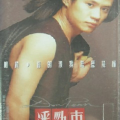 你的泪我怎么能懂