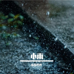 小雨（Cover 黄龄)
