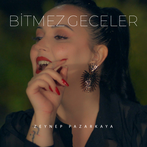 Bitmez Geceler