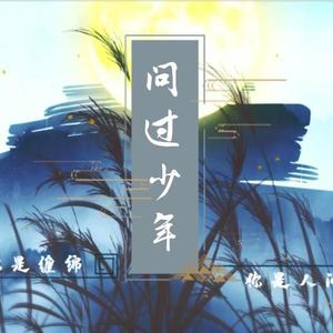 问过少年
