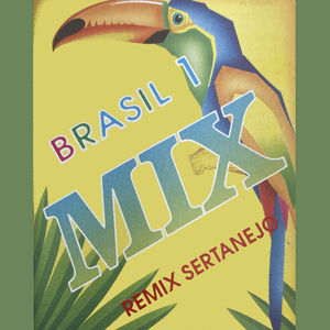 Mix 2 : Passa Lá / Bobeou a Gente Pimga / O Menino da Porteira / Panela Velha / Secretária de Sucesso / O Palco Caiu