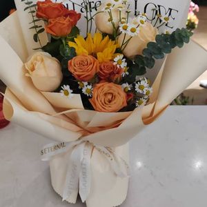 心频信号 伴奏