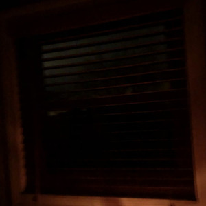 my mind 'til morning