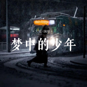 梦中的少年