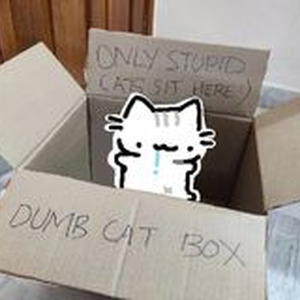 The Less I Know The Better