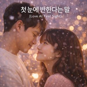 첫 눈에 반한다는 말 (Love At First Sight)
