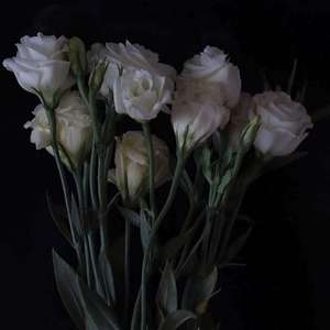 解药（抖音完整版）（翻自 你的苏泽啊）