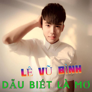 Đừng bao giờ nói yêu em (Cover)