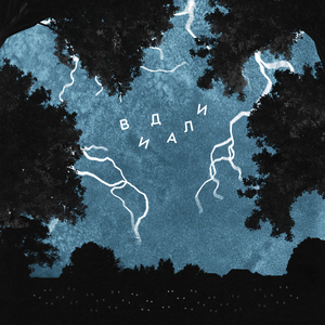 Видали